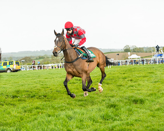 Race 5 - Restricted  (97 of 251)