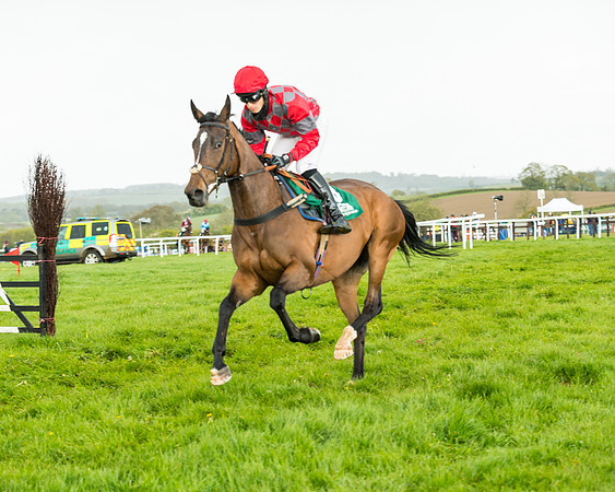 Race 5 - Restricted  (98 of 251)