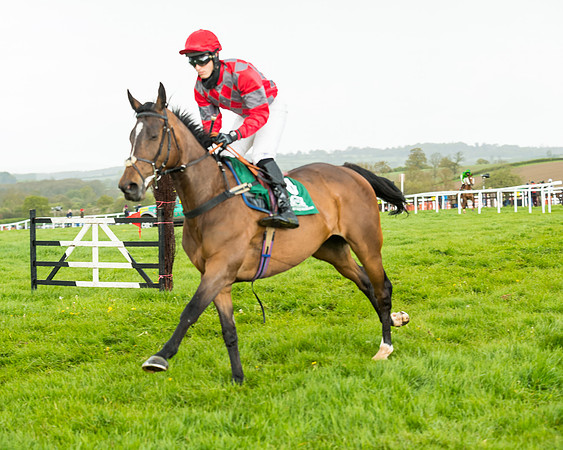 Race 5 - Restricted  (99 of 251)