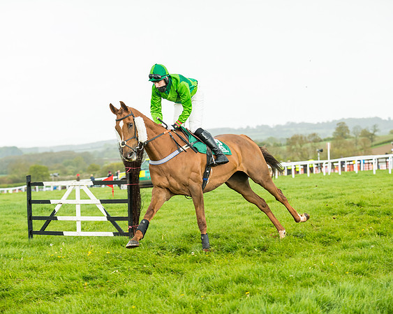 Race 5 - Restricted  (102 of 251)