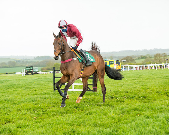 Race 5 - Restricted  (107 of 251)