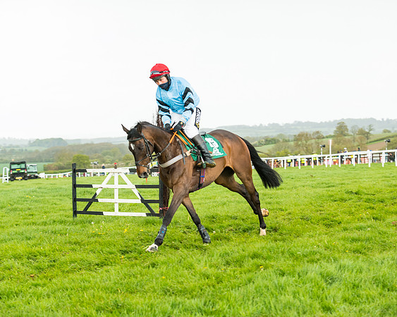 Race 5 - Restricted  (109 of 251)