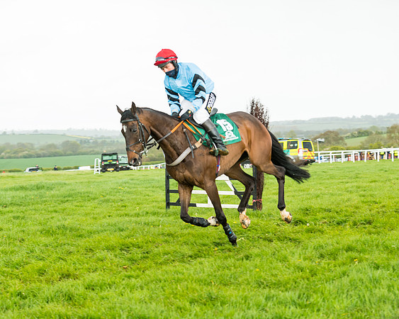 Race 5 - Restricted  (110 of 251)