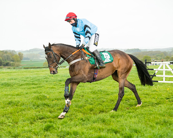 Race 5 - Restricted  (112 of 251)