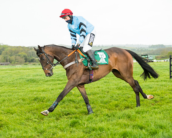 Race 5 - Restricted  (113 of 251)