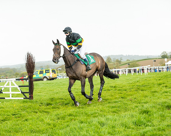 Race 5 - Restricted  (114 of 251)