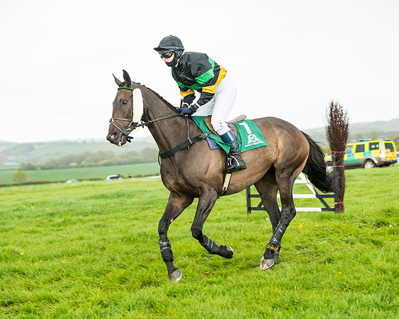 Race 5 - Restricted  (117 of 251)