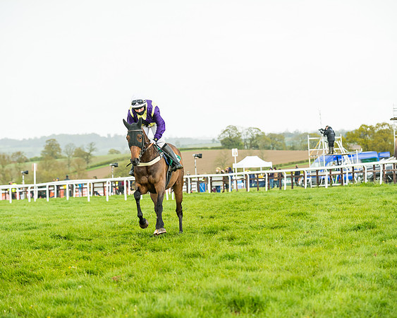 Race 5 - Restricted  (120 of 251)