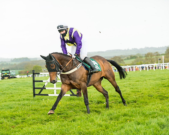 Race 5 - Restricted  (122 of 251)