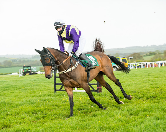 Race 5 - Restricted  (123 of 251)