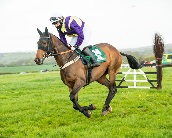 Race 5 - Restricted  (125 of 251)