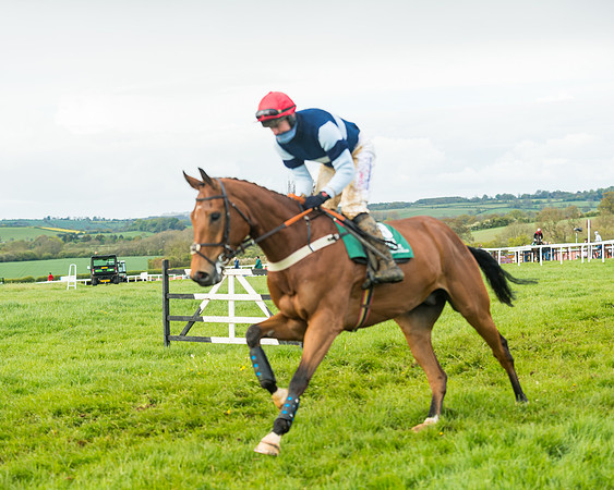 Race 6  - Maiden Div 1  (19 of 126)