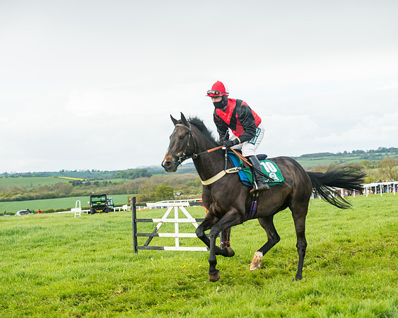 Race 6  - Maiden Div 1  (30 of 126)