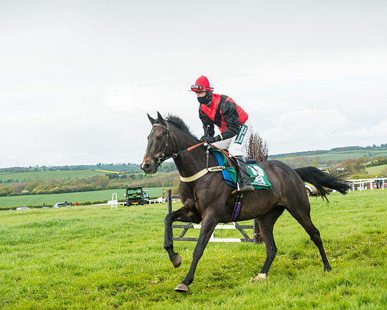 Race 6  - Maiden Div 1  (31 of 126)