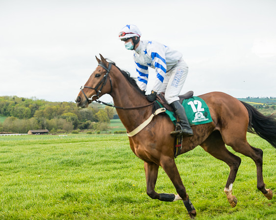 Race 6  - Maiden Div 1  (35 of 126)