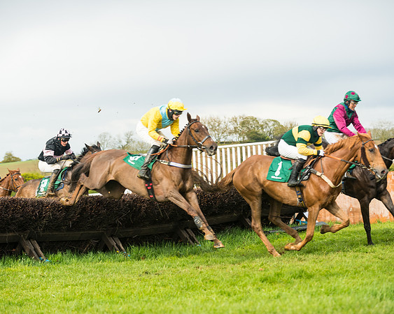 Race 6  - Maiden Div 1  (48 of 126)