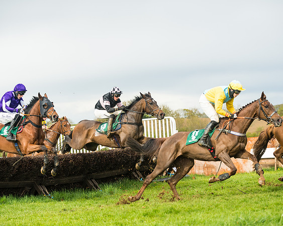Race 6  - Maiden Div 1  (51 of 126)