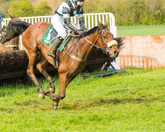 Race 6  - Maiden Div 1  (85 of 126)