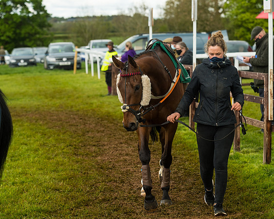 Race 6  - Maiden Div 2 (6 of 207)