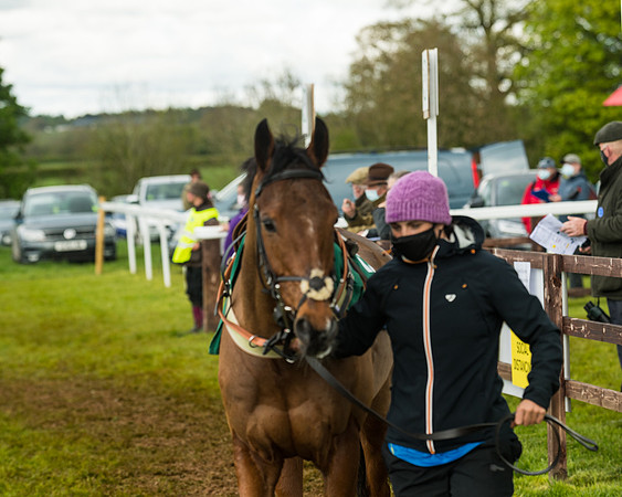 Race 6  - Maiden Div 2 (15 of 207)