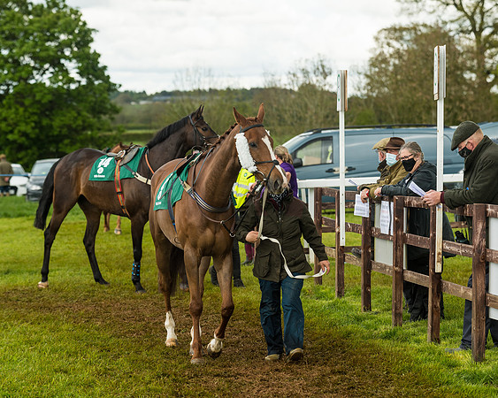 Race 6  - Maiden Div 2 (18 of 207)