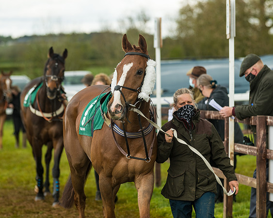 Race 6  - Maiden Div 2 (19 of 207)