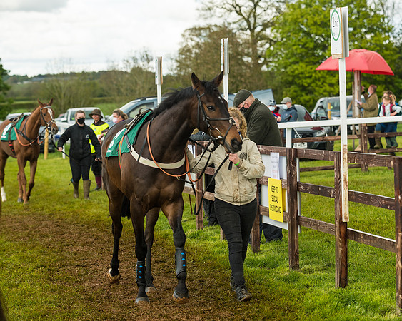 Race 6  - Maiden Div 2 (22 of 207)