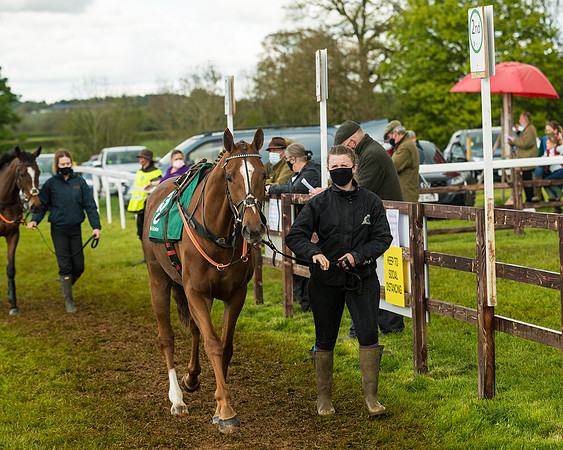 Race 6  - Maiden Div 2 (25 of 207)