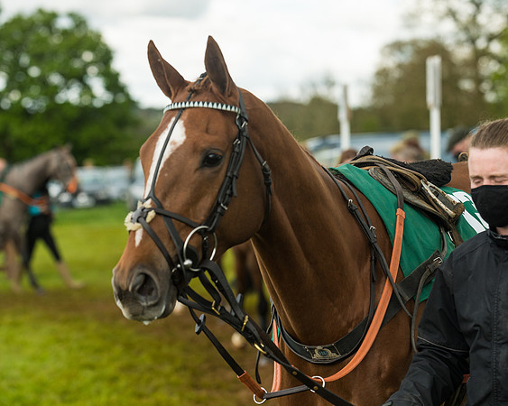 Race 6  - Maiden Div 2 (27 of 207)