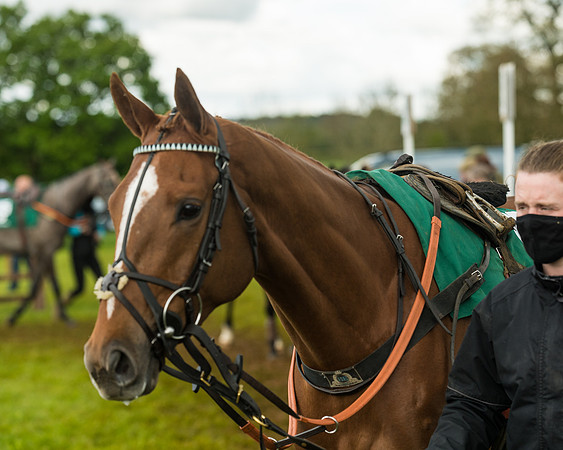 Race 6  - Maiden Div 2 (28 of 207)