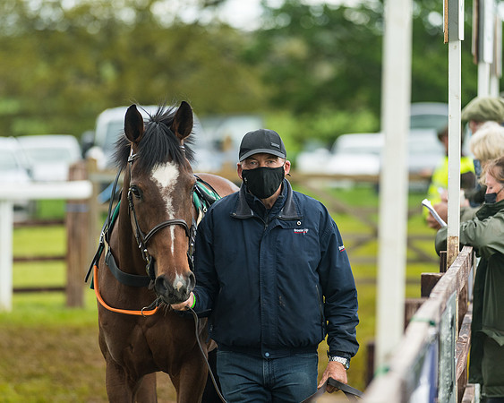 Race 7  - Veterans [0ver 10] conditions (17 of 219)