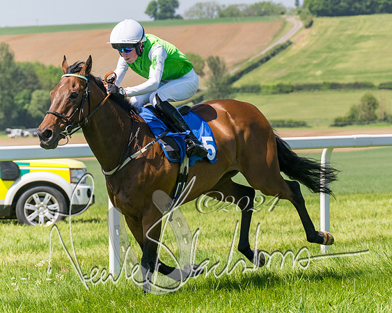 Pony Races  (87 of 141)
