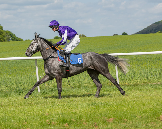 Race 2 - Restricted  (29 of 90)
