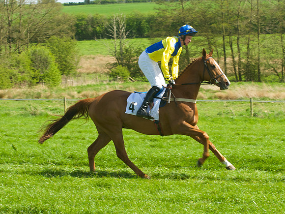 Race 2 - Open Maiden  26