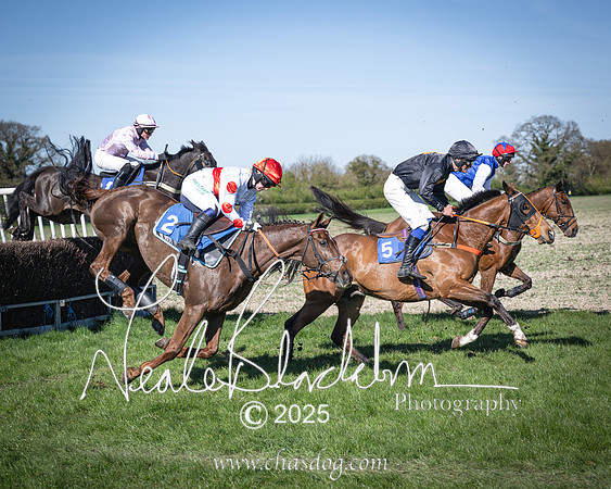 Race 6 - Veteran horse (64 of 109)