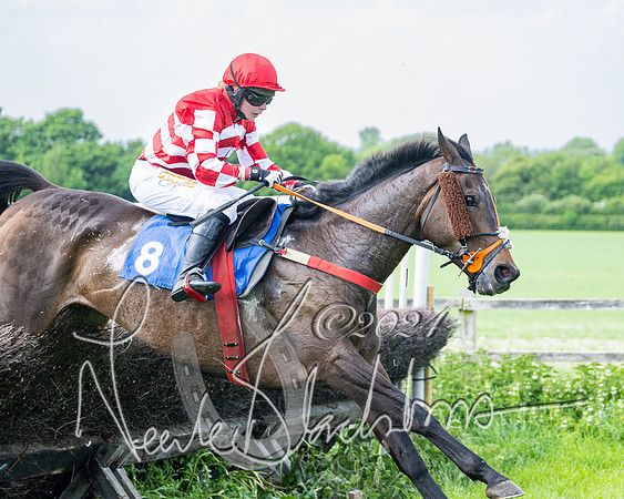 Race 2 - Restricted  (256 of 308)