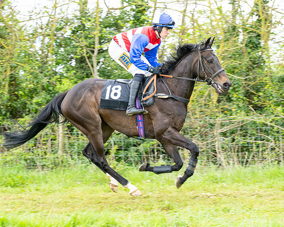 Race 2 - 2M4F Conditions (45 of 195)