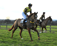 TVRC - Young Horse Maiden Division 2