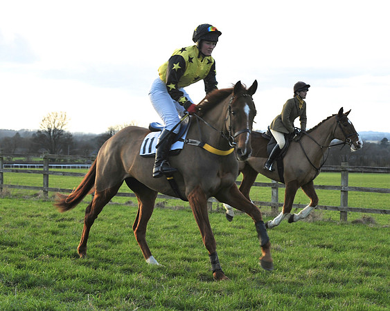 TVRC - Young Horse Maiden Division 2