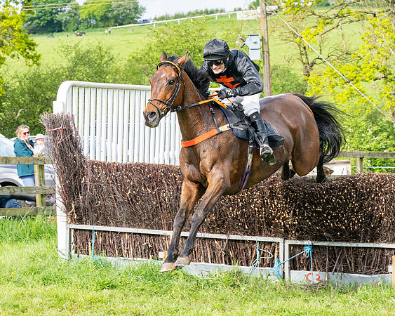 Race 5  - Novice riders (143 of 188)