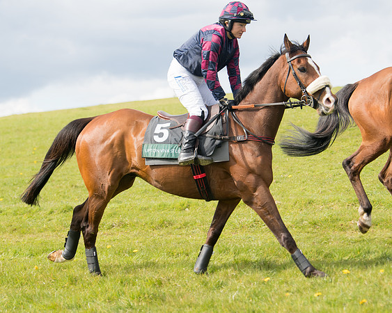 Race 3 - Owner Trainer conditions (6 of 132)