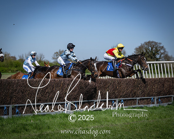 Race 2 - The Maiden (52 of 118)