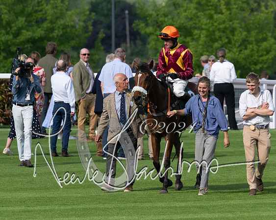 Race 1 - The Bottle Green Open Hunters steeplechase 2m62y (66 of 93)