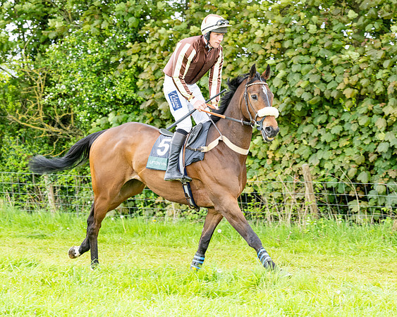 Race 2 - 2M4F Conditions (36 of 195)