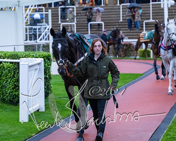 Race 7 - Glos Hussars (3 of 220)
