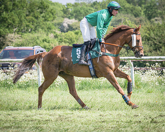 Race 3 - The mixed Open (7 of 69)
