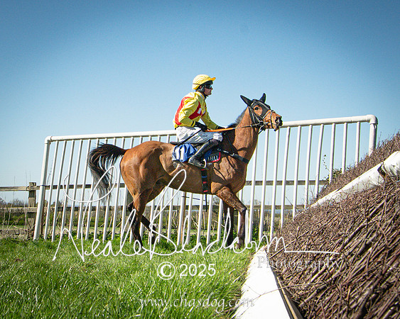 Race 5 - The restricted (105 of 113)