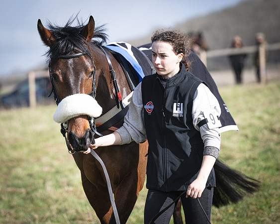 Race 1 - Four and Five year Old Maiden (12 of 137)