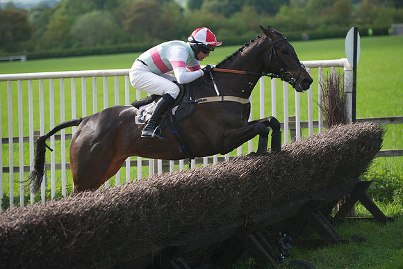 Race 6 -  48