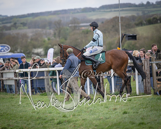 Race 2 - Tattersalls Cheltenham 4 year old Maiden (13 of 85)